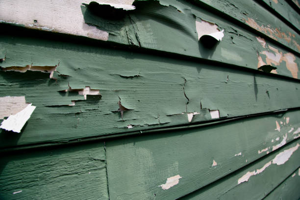 Junk Removal for Events in Hillsdale, MI